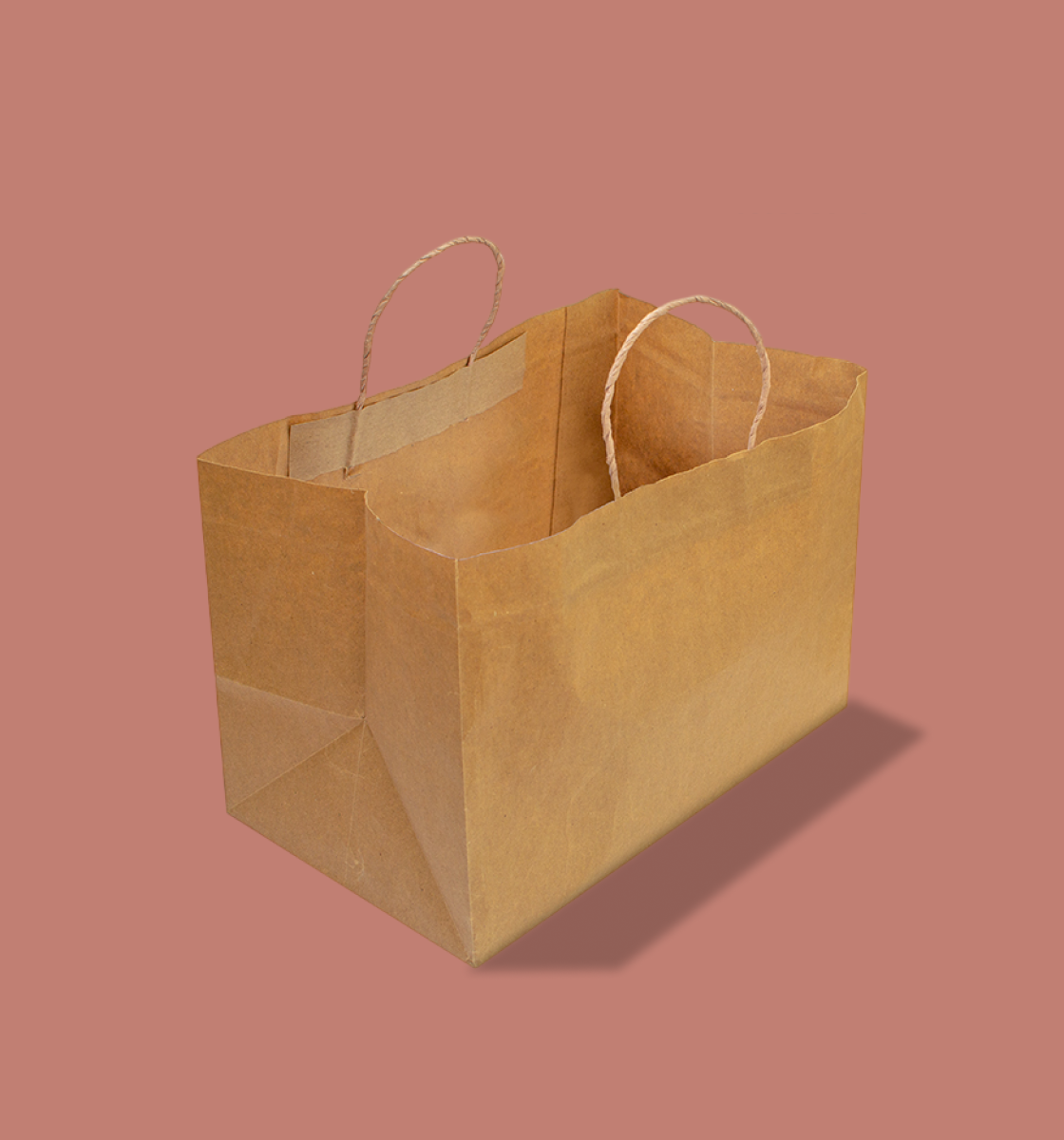 Paper Bag-for Clothes