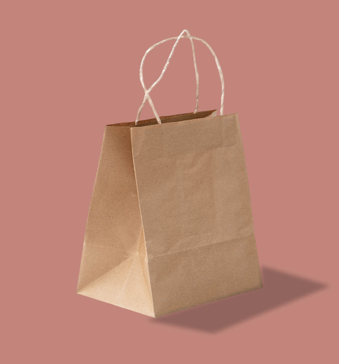 1/2 Kg Paper Bag