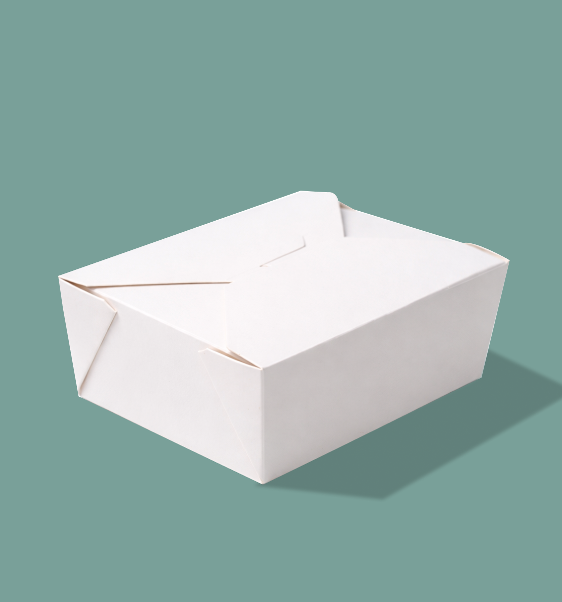 Family Pack Biryani Box-White
