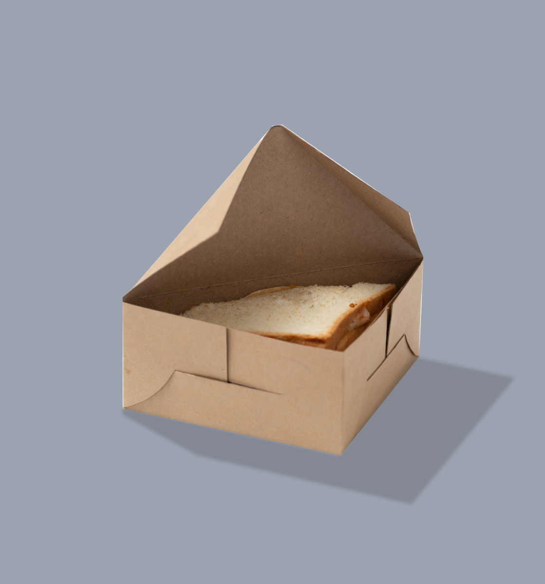 Sandwich Triangle Box