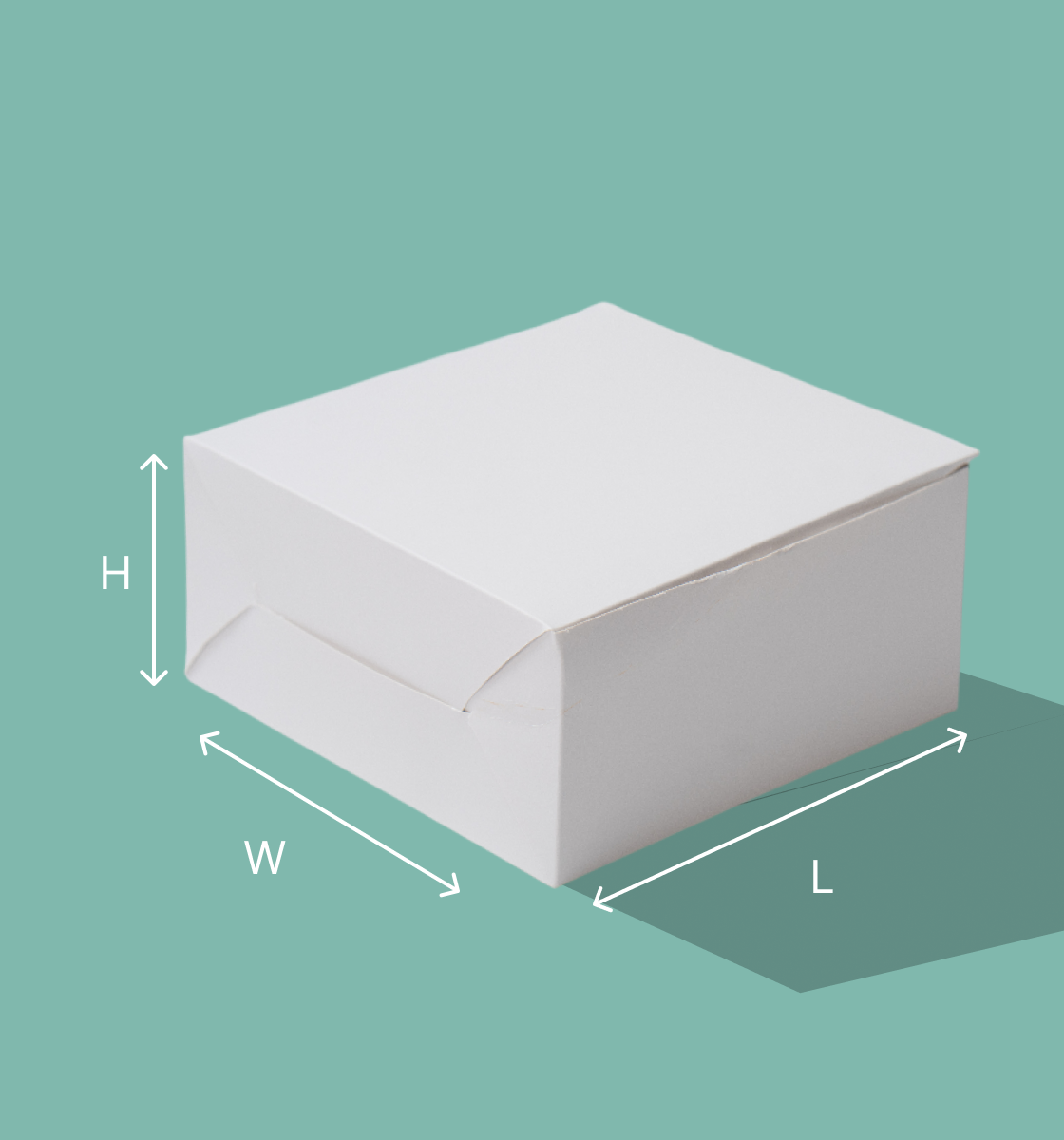 Cake Box - 10 x 10 x 5