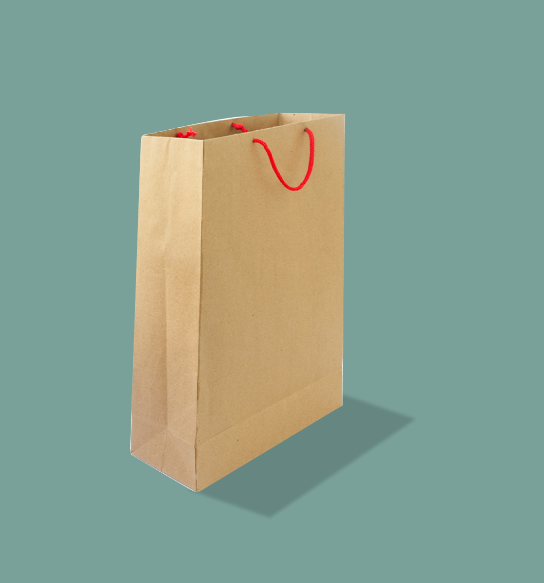 Brown Paper Bag