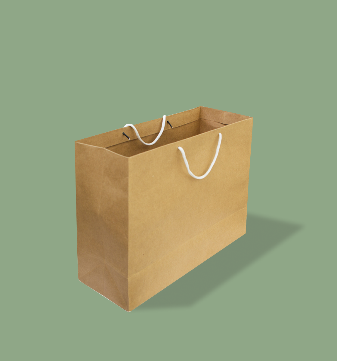 Brown Paper Bag