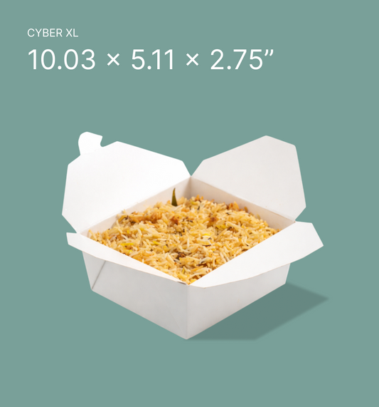 Family Pack Biryani Box-White