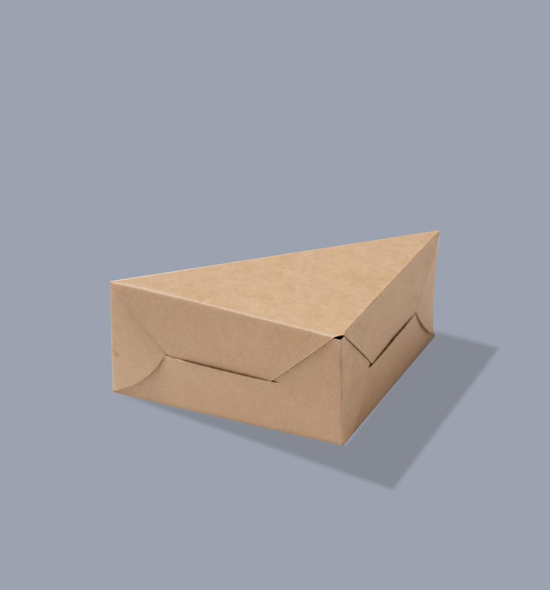 Sandwich Triangle Box
