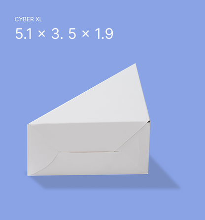 Sandwich Triangle Box-White